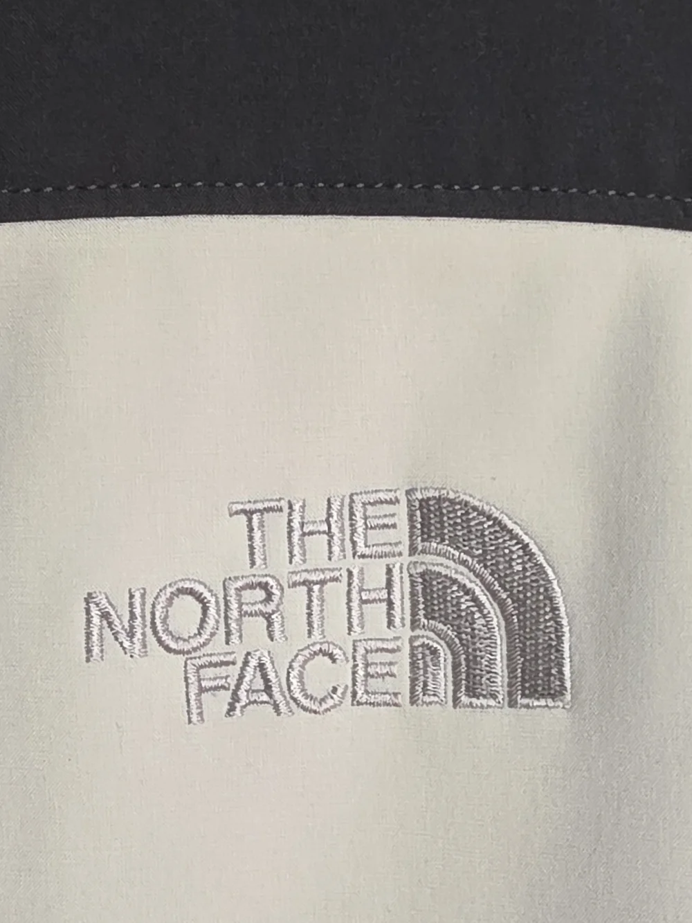 The North Face right plastic
